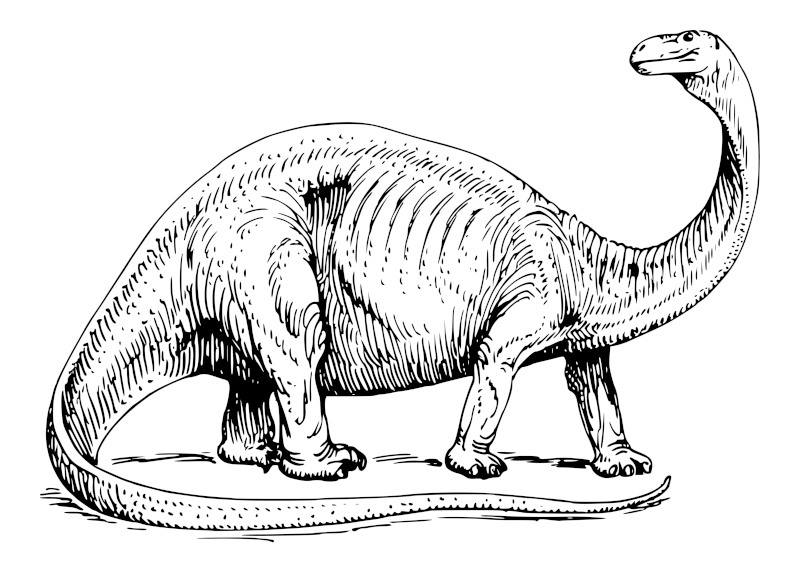 Vintage Dinosaur Drawing of Long-Necked Creature